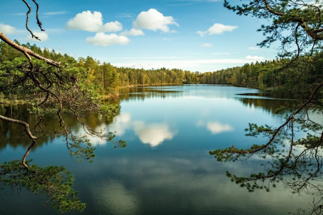 SME POWER amidst the Finnish lakes