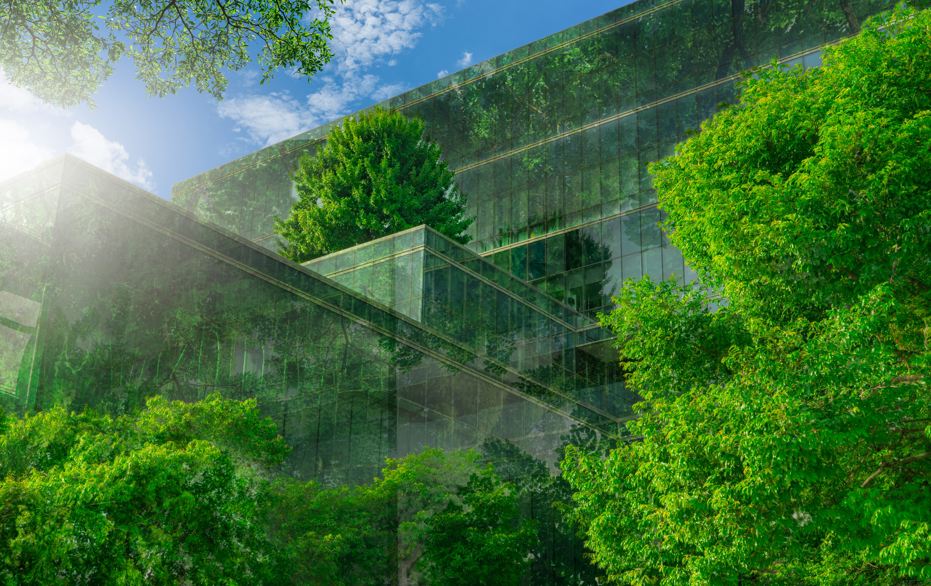 edificio in vetro con alberi